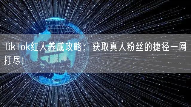 TikTok红人养成攻略：获取真人粉丝的捷径一网打尽！