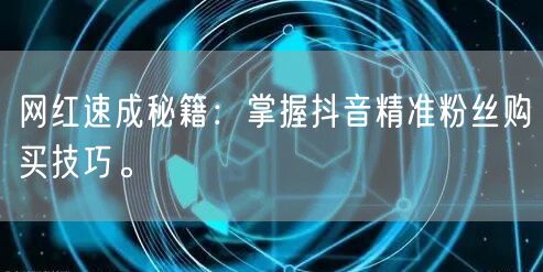 网红速成秘籍：掌握抖音精准粉丝购买技巧。