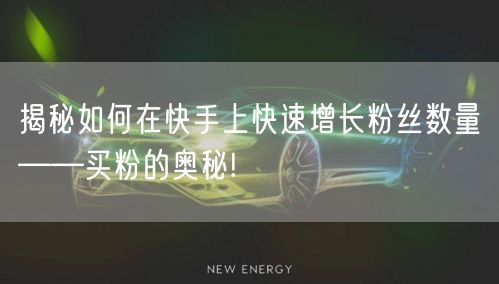 揭秘如何在快手上快速增长粉丝数量——买粉的奥秘!