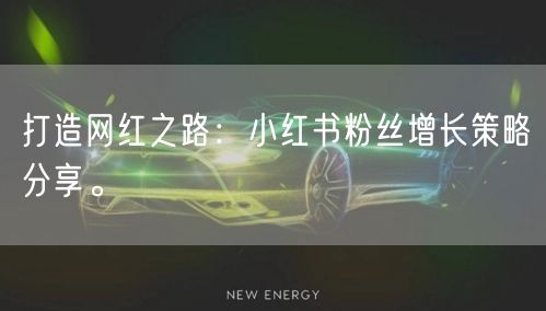 打造网红之路：小红书粉丝增长策略分享。