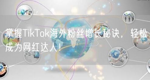 掌握TikTok海外粉丝增长秘诀，轻松成为网红达人！