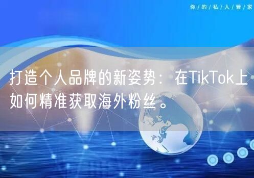 打造个人品牌的新姿势：在TikTok上如何精准获取海外粉丝。
