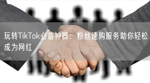 玩转TikTok必备神器：粉丝速购服务助你轻松成为网红