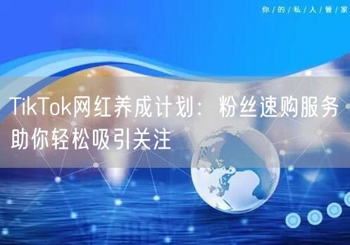 TikTok网红养成计划：粉丝速购服务助你轻松吸引关注