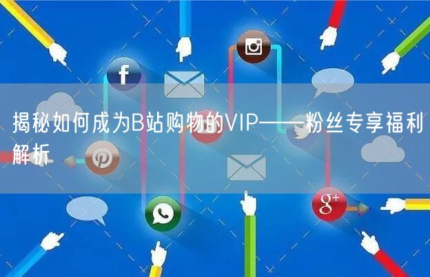 揭秘如何成为B站购物的VIP——粉丝专享福利解析