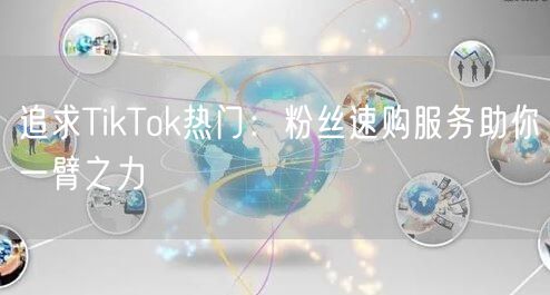 追求TikTok热门：粉丝速购服务助你一臂之力