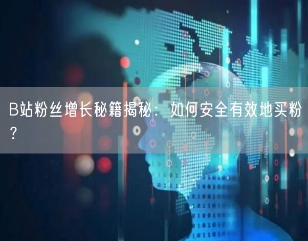 B站粉丝增长秘籍揭秘：如何安全有效地买粉？