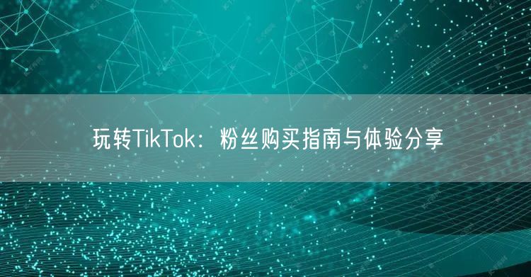 玩转TikTok：粉丝购买指南与体验分享