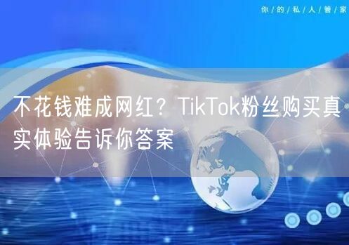 不花钱难成网红？TikTok粉丝购买真实体验告诉你答案