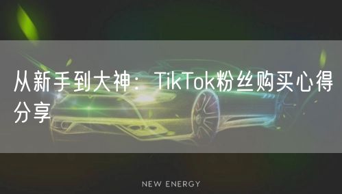 从新手到大神：TikTok粉丝购买心得分享