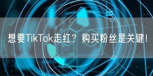 想要TikTok走红？购买粉丝是关键！