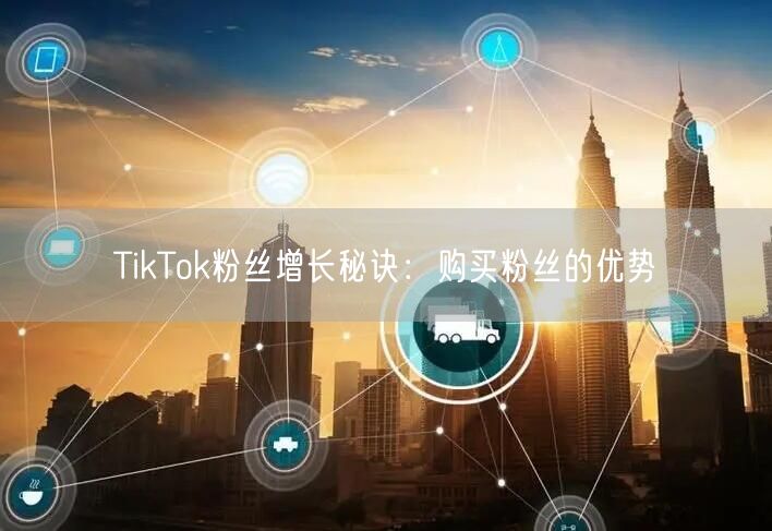 TikTok粉丝增长秘诀：购买粉丝的优势