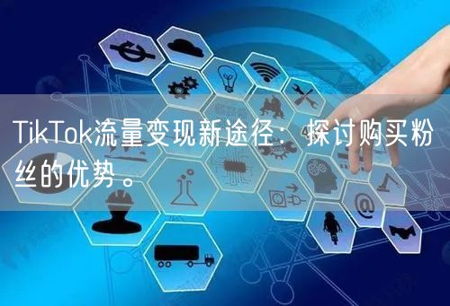 TikTok流量变现新途径：探讨购买粉丝的优势。