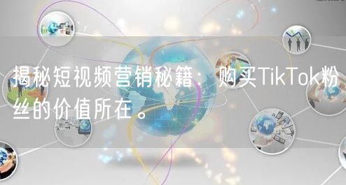 揭秘短视频营销秘籍：购买TikTok粉丝的价值所在。