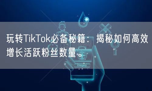 玩转TikTok必备秘籍：揭秘如何高效增长活跃粉丝数量。