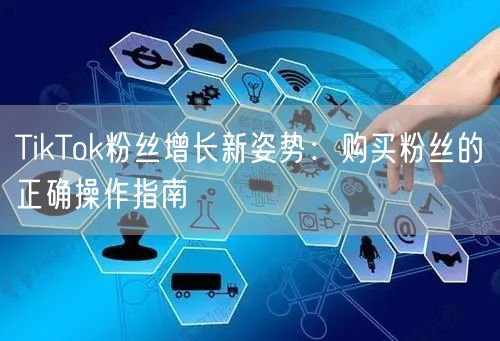 TikTok粉丝增长新姿势：购买粉丝的正确操作指南