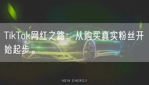 TikTok网红之路：从购买真实粉丝开始起步。
