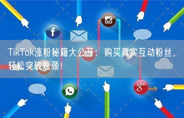 TikTok涨粉秘籍大公开：购买真实互动粉丝，轻松突破瓶颈！
