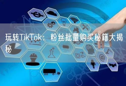 玩转TikTok：粉丝批量购买秘籍大揭秘