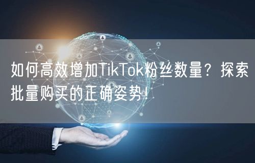 如何高效增加TikTok粉丝数量？探索批量购买的正确姿势！