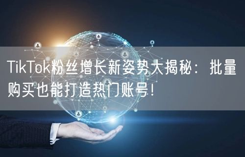 TikTok粉丝增长新姿势大揭秘：批量购买也能打造热门账号！