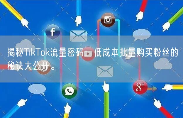 揭秘TikTok流量密码：低成本批量购买粉丝的秘诀大公开。