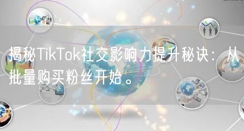 揭秘TikTok社交影响力提升秘诀：从批量购买粉丝开始。