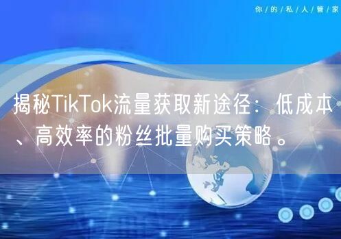 揭秘TikTok流量获取新途径：低成本、高效率的粉丝批量购买策略。