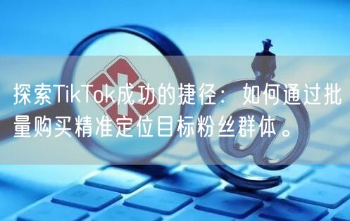 探索TikTok成功的捷径：如何通过批量购买精准定位目标粉丝群体。