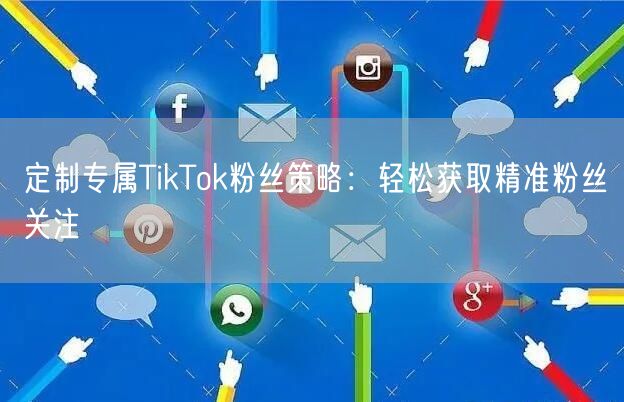 定制专属TikTok粉丝策略：轻松获取精准粉丝关注