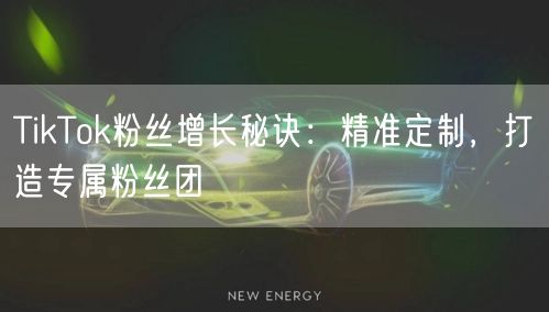 TikTok粉丝增长秘诀：精准定制，打造专属粉丝团