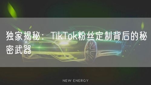 独家揭秘：TikTok粉丝定制背后的秘密武器
