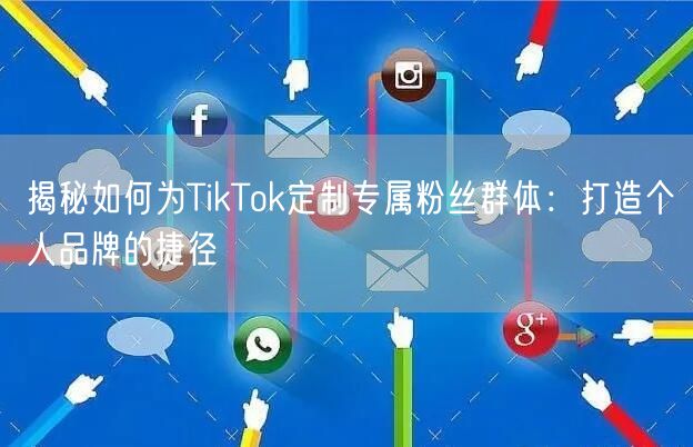 揭秘如何为TikTok定制专属粉丝群体：打造个人品牌的捷径