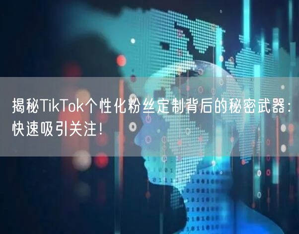 揭秘TikTok个性化粉丝定制背后的秘密武器：快速吸引关注！