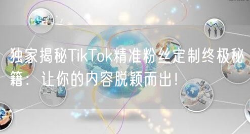 独家揭秘TikTok精准粉丝定制终极秘籍：让你的内容脱颖而出！