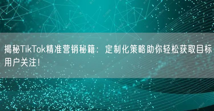 揭秘TikTok精准营销秘籍：定制化策略助你轻松获取目标用户关注！
