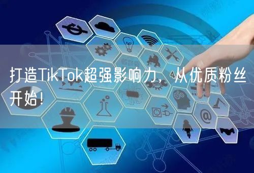 打造TikTok超强影响力，从优质粉丝开始！