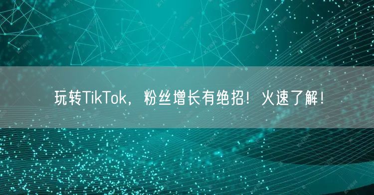 玩转TikTok，粉丝增长有绝招！火速了解！