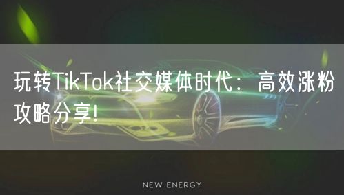 玩转TikTok社交媒体时代：高效涨粉攻略分享!