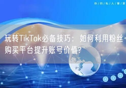 玩转TikTok必备技巧：如何利用粉丝购买平台提升账号价值?