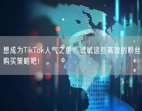 想成为TikTok人气之星？试试这些高效的粉丝购买策略吧！。