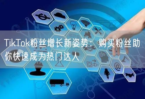 TikTok粉丝增长新姿势：购买粉丝助你快速成为热门达人