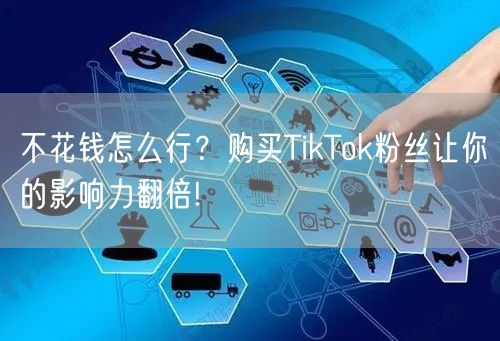 不花钱怎么行？购买TikTok粉丝让你的影响力翻倍!