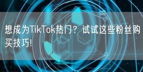 想成为TikTok热门？试试这些粉丝购买技巧!