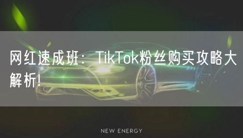 网红速成班：TikTok粉丝购买攻略大解析!