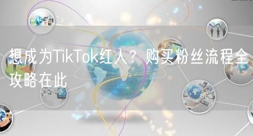 想成为TikTok红人？购买粉丝流程全攻略在此