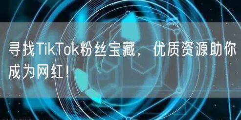 寻找TikTok粉丝宝藏，优质资源助你成为网红！