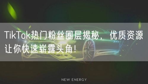 TikTok热门粉丝圈层揭秘，优质资源让你快速崭露头角！