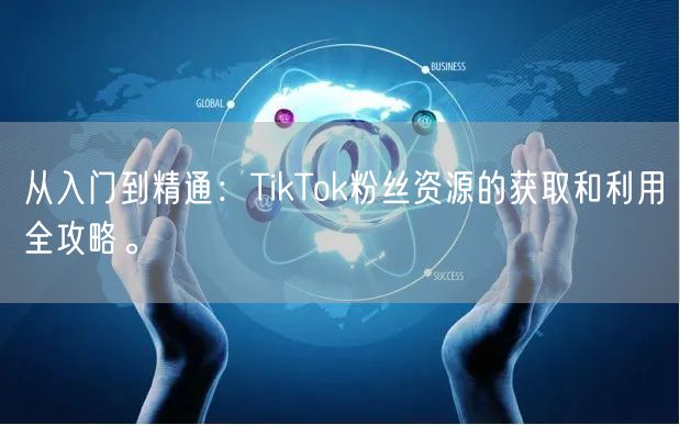 从入门到精通：TikTok粉丝资源的获取和利用全攻略。