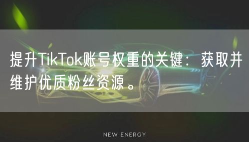 提升TikTok账号权重的关键：获取并维护优质粉丝资源。